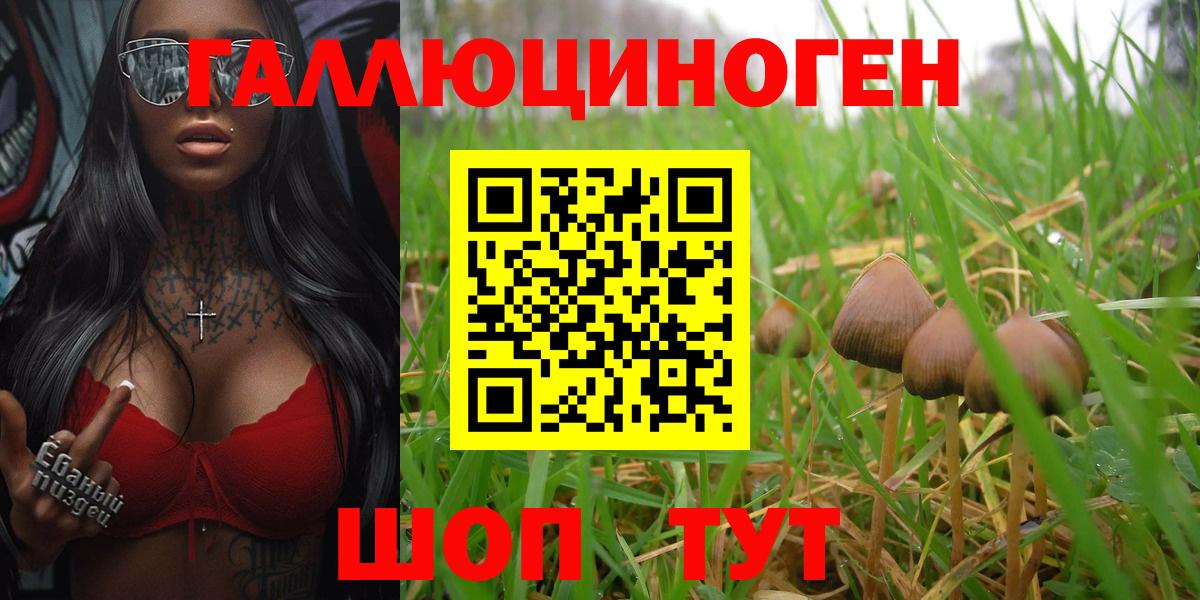 Псилоцибиновые грибы GOLDEN TEACHER  Вход с VPN  Муравленко 